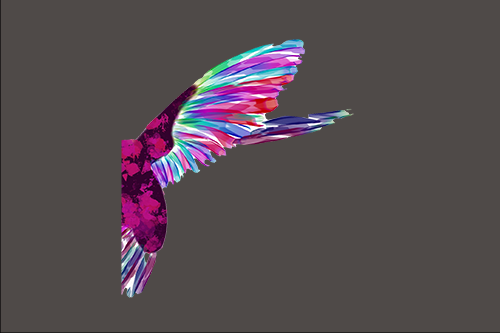 Illustration of Rainbow Bird Feathers